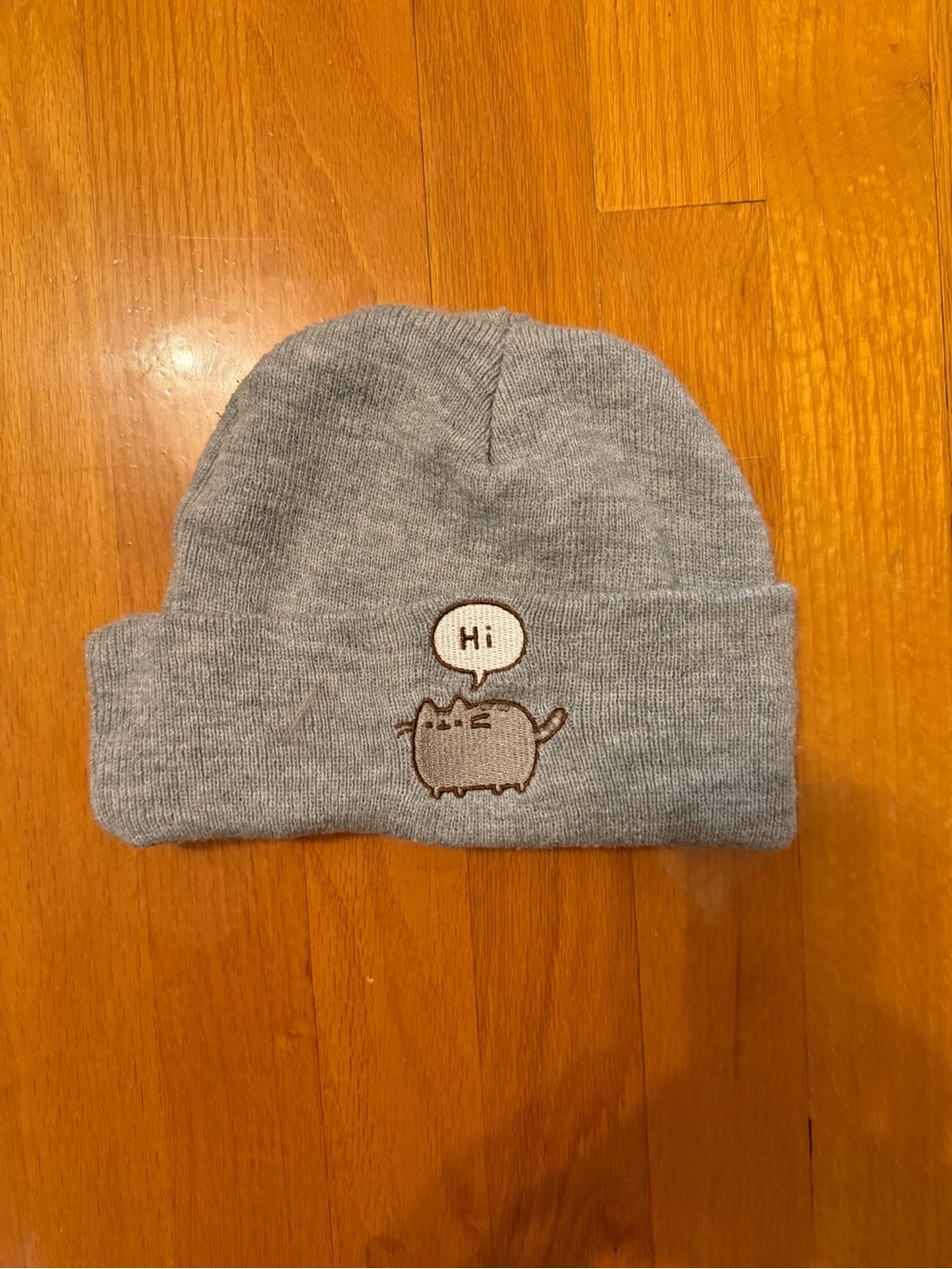 Gray Beanie Hat with Cat Embroidery - "Hi" Accent